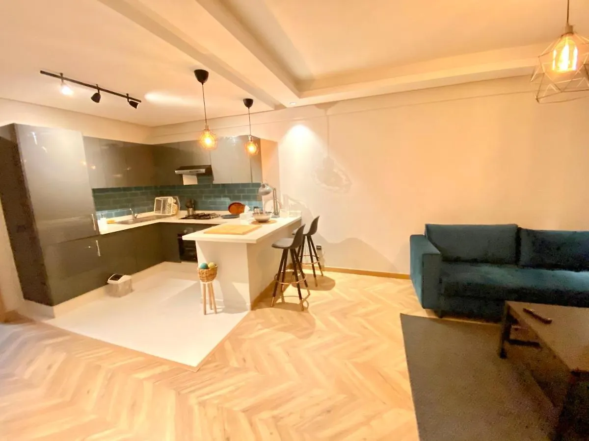 Spacious New 1-Bedroom Unit In Downtown W Terrace And Free Parking Casablanca Apartment