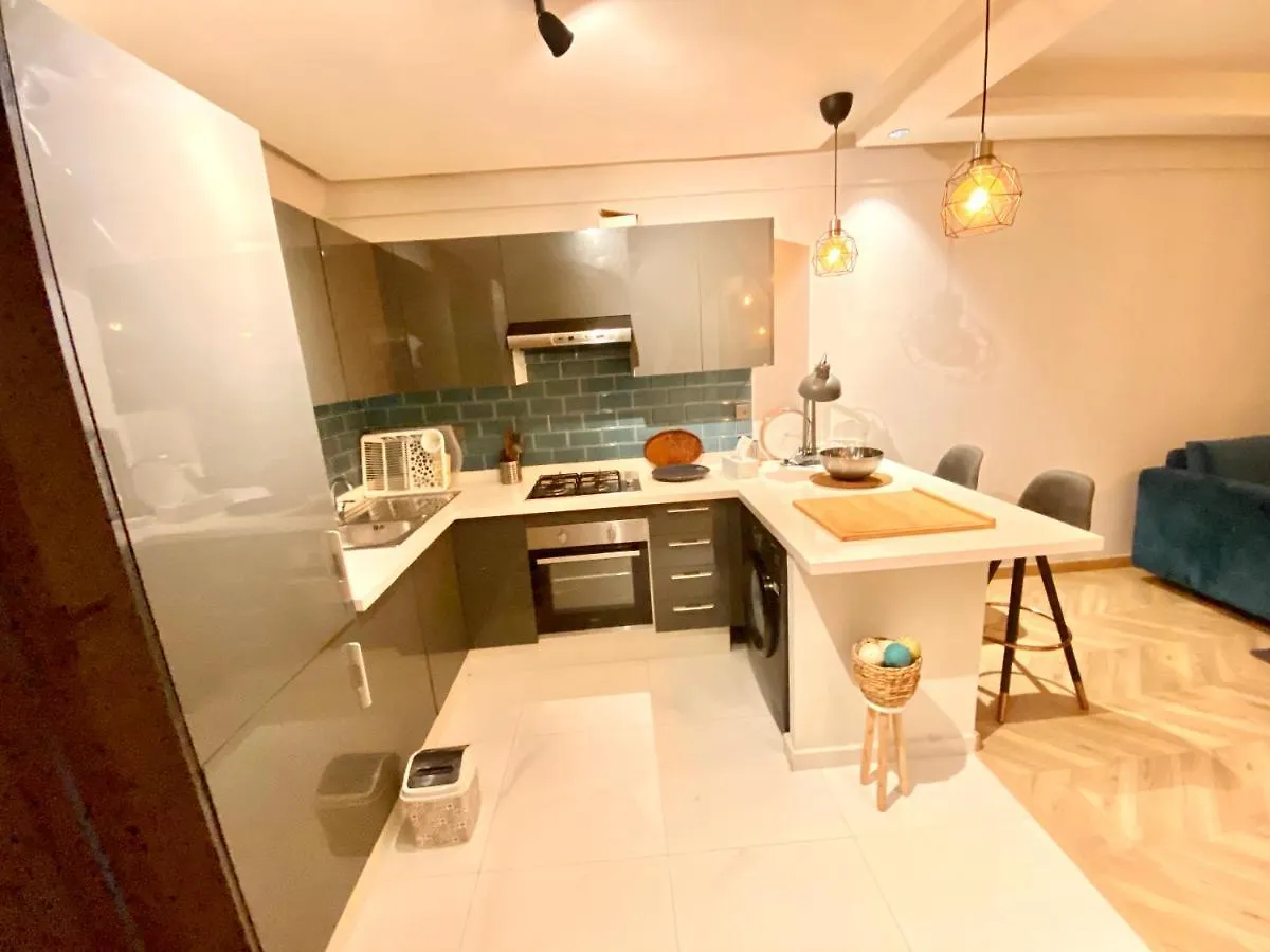 Spacious New 1-Bedroom Unit In Downtown W Terrace And Free Parking Casablanca Apartment